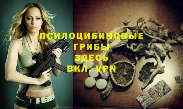 молекула духа Белокуриха