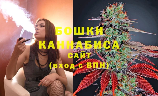 молекула духа Белокуриха