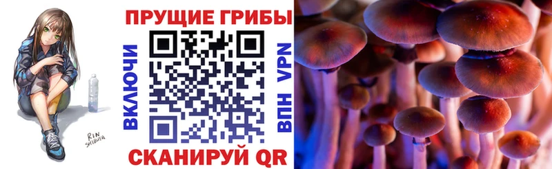 Галлюциногенные грибы Cubensis  купить наркоту  Мариинский Посад 
